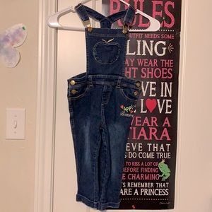 Apple bottoms toddler girl 4t jumper